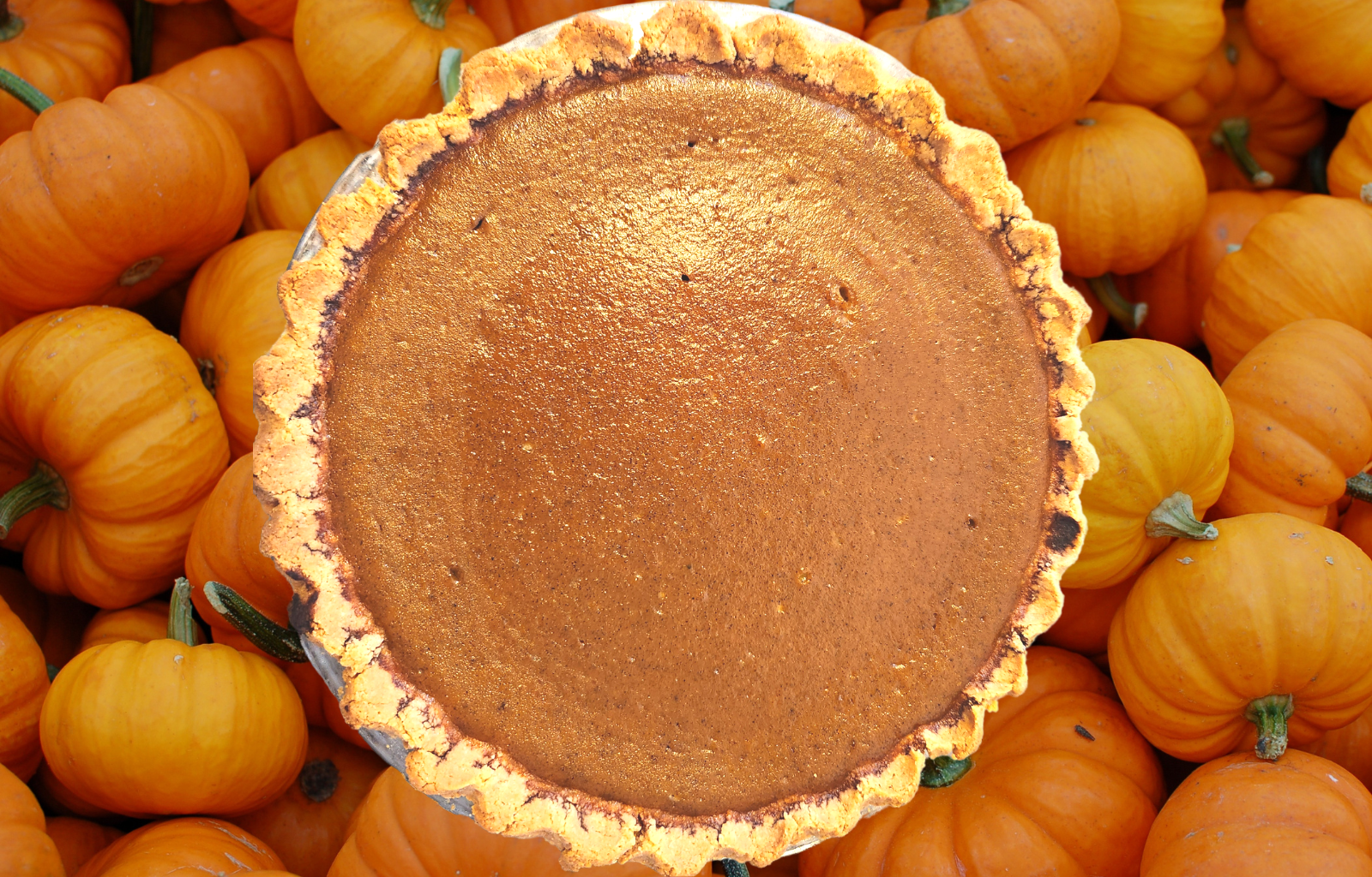 paleo pumpkin pie